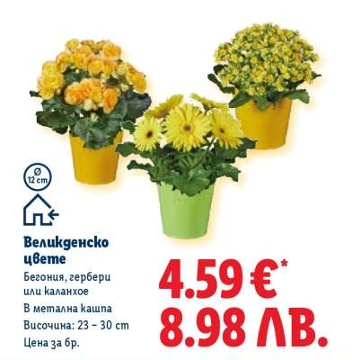 Великденско цвете