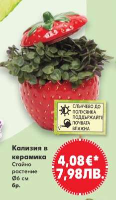 Кализия в керамика