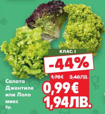 Салата Джентиле или Лоло микс бр.