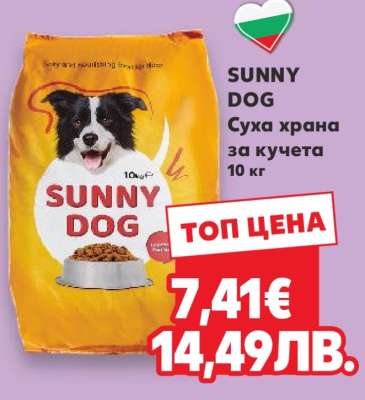 SUNNY DOG