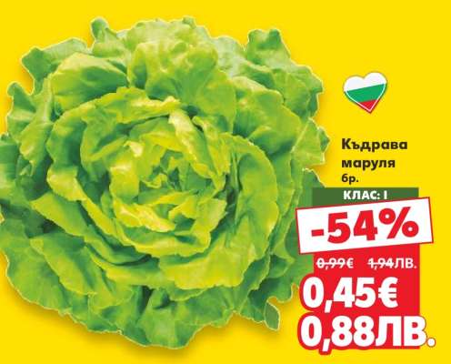 Къдрава маруля бр.