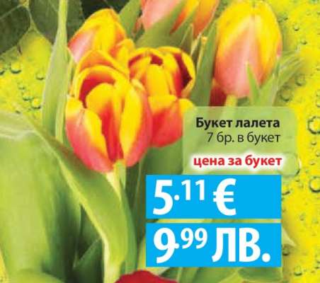 Букет Лалета