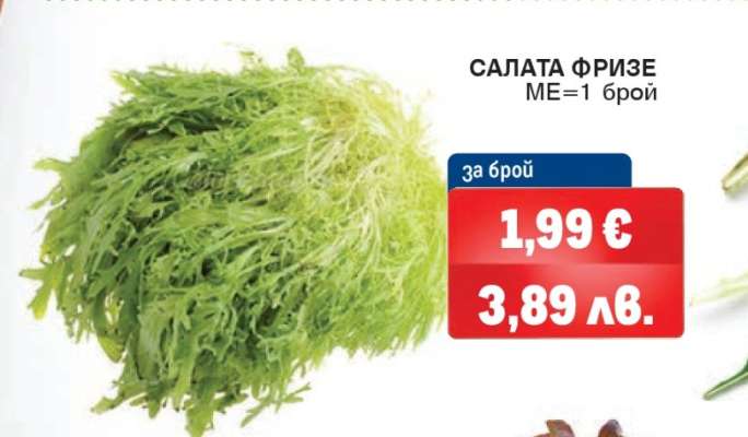 САЛАТА ФРИЗЕ