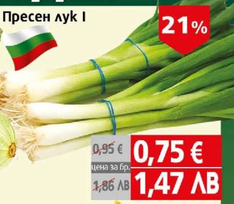 Пресен лук I