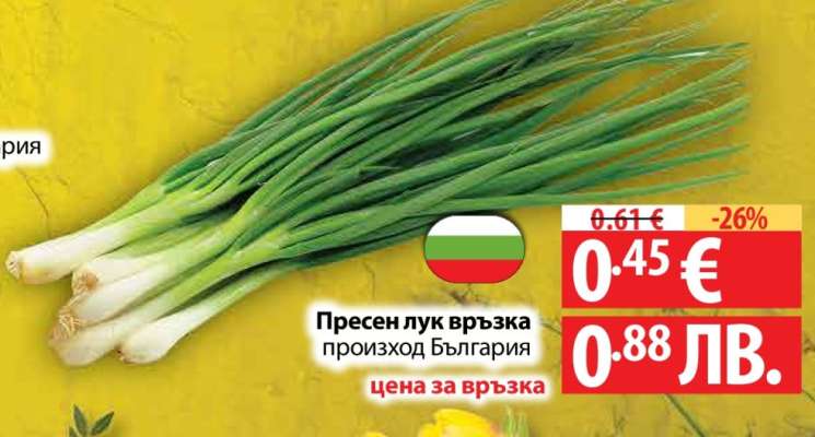 Пресен лук връзка