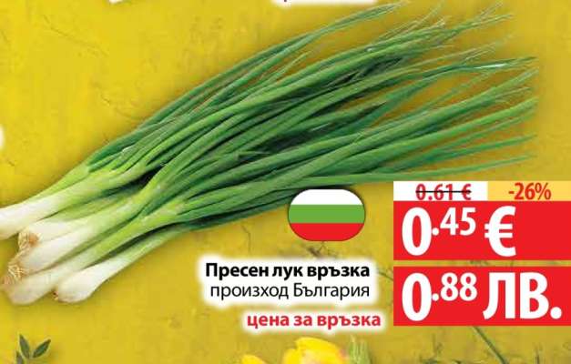 Пресен лук връзка