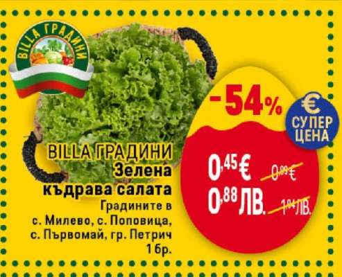 BILLA ГРАДИНИ Зелена къдрава салата