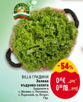 BILLA ГРАДИНИ Зелена къдрава салата