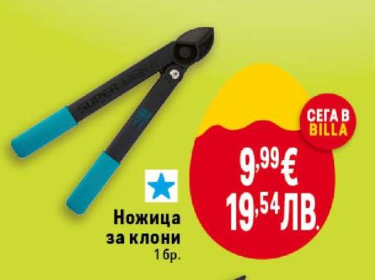 Ножица за клони