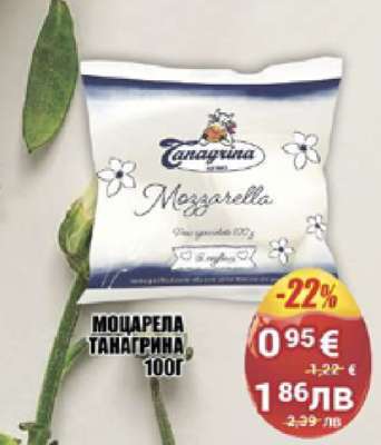 МОЦАРЕЛА ТАНАГРИНА 100Г