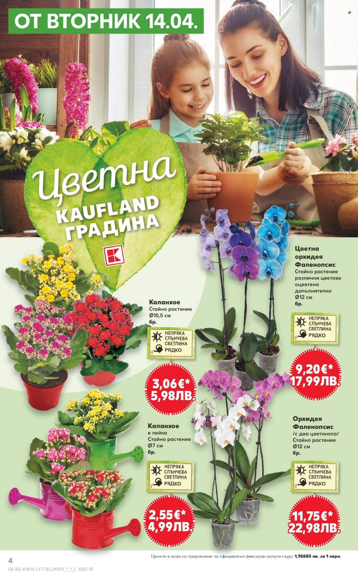 Брошура на Кауфланд - 13.04.2026 - 19.04.2026. Страница 4
