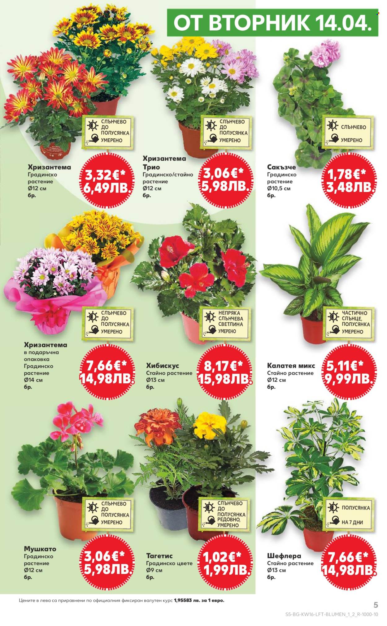 Брошура на Кауфланд - 13.04.2026 - 19.04.2026. Страница 5