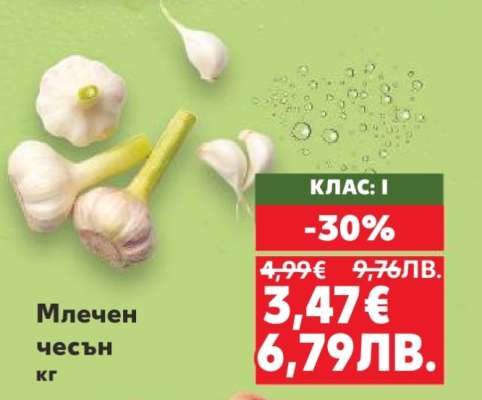 Млечен чесън кг