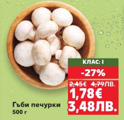 Гъби печурки