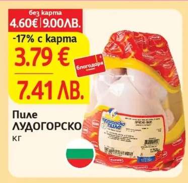 Пиле Лудогорско