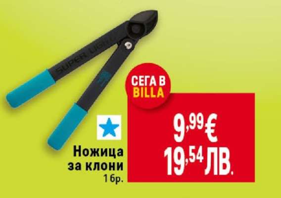 Ножица за клони