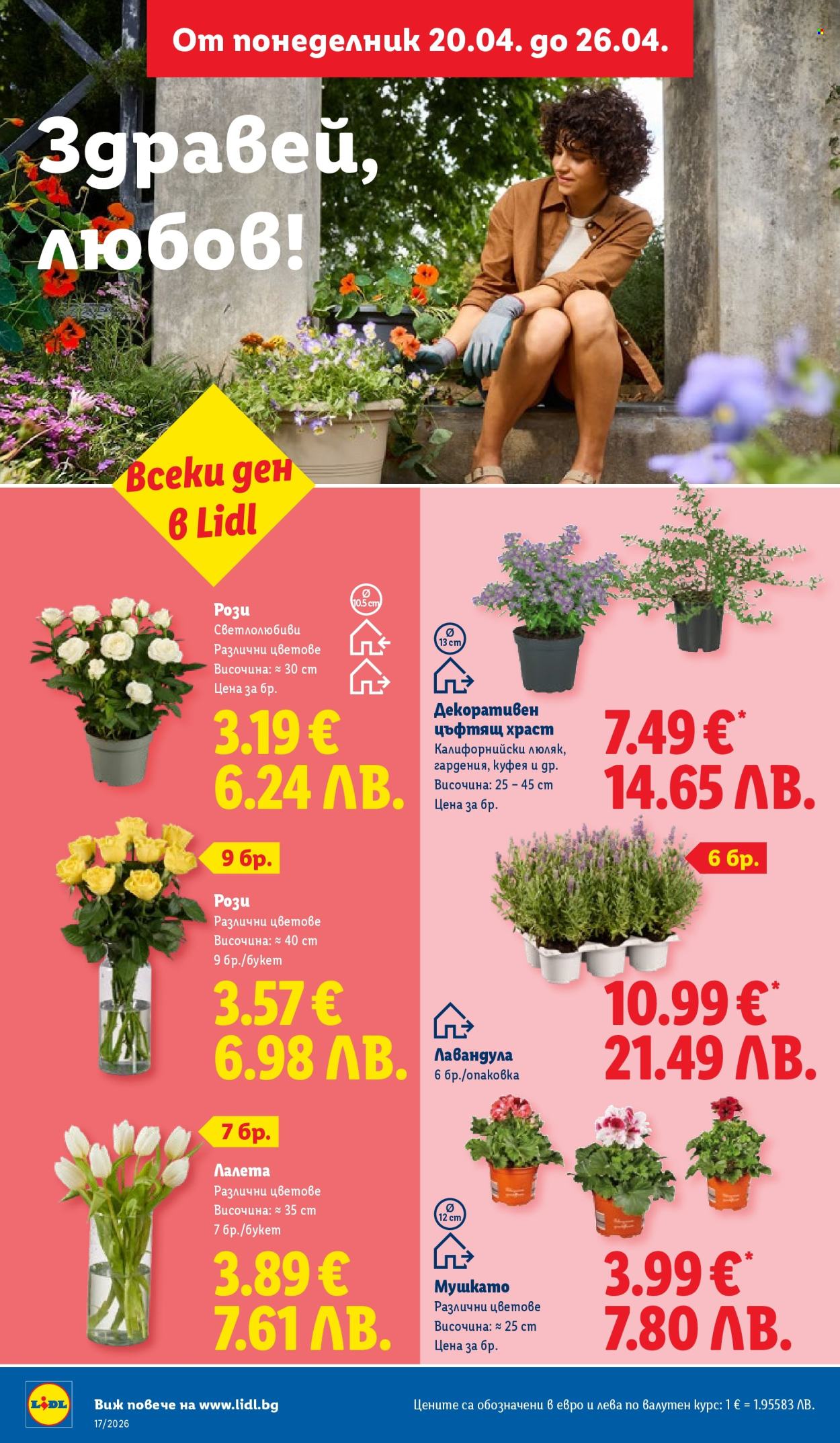 Брошура на Лидл - 20.04.2026 - 26.04.2026. Страница 46