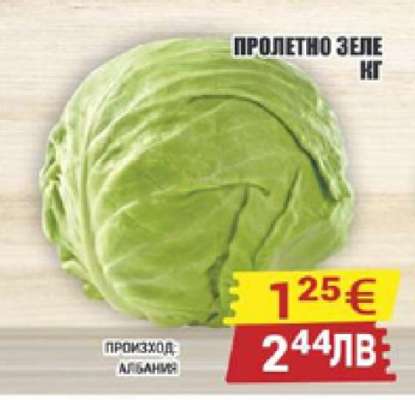 ПРОЛЕТНО ЗЕЛЕ