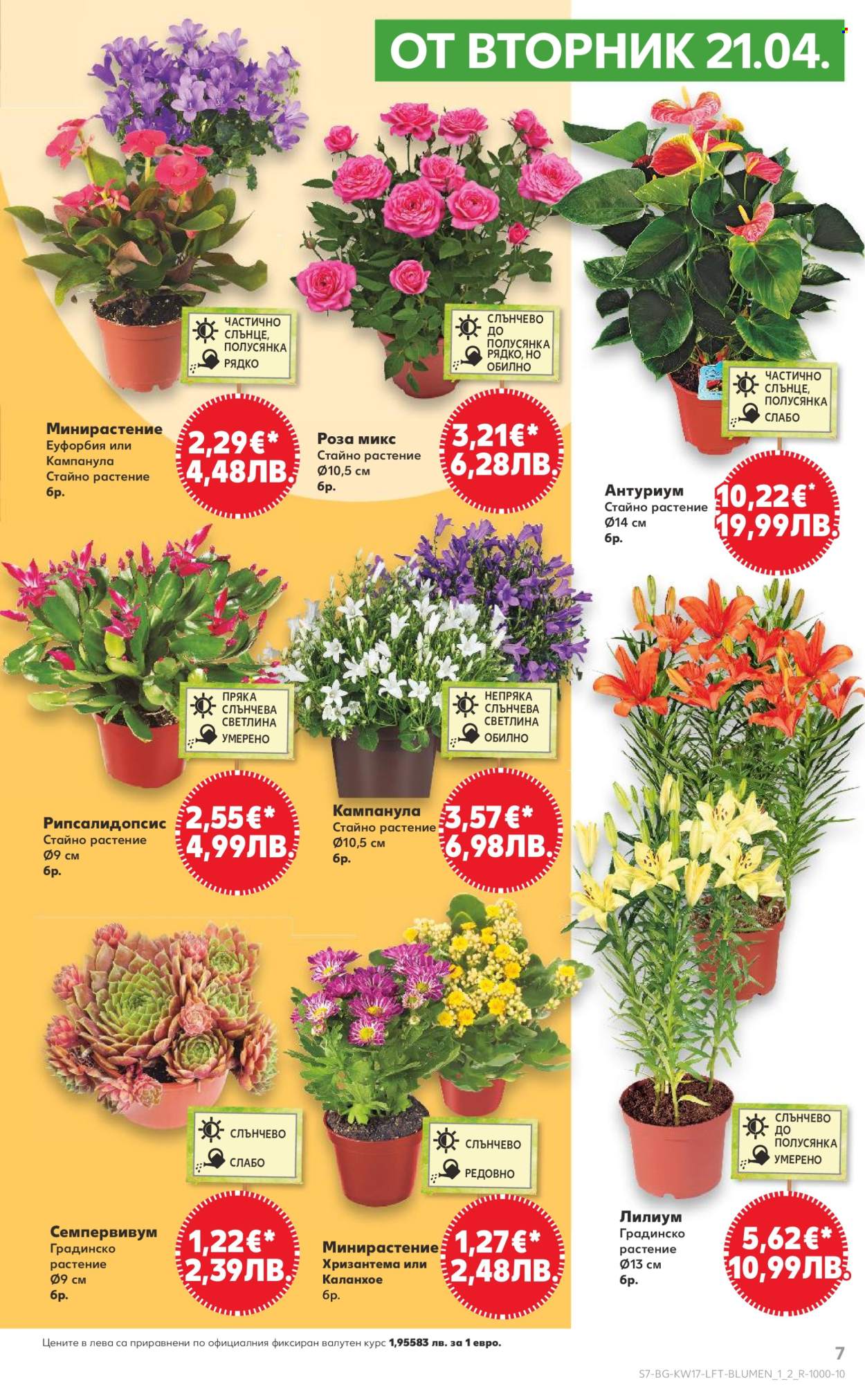 Брошура на Кауфланд - 20.04.2026 - 26.04.2026. Страница 7