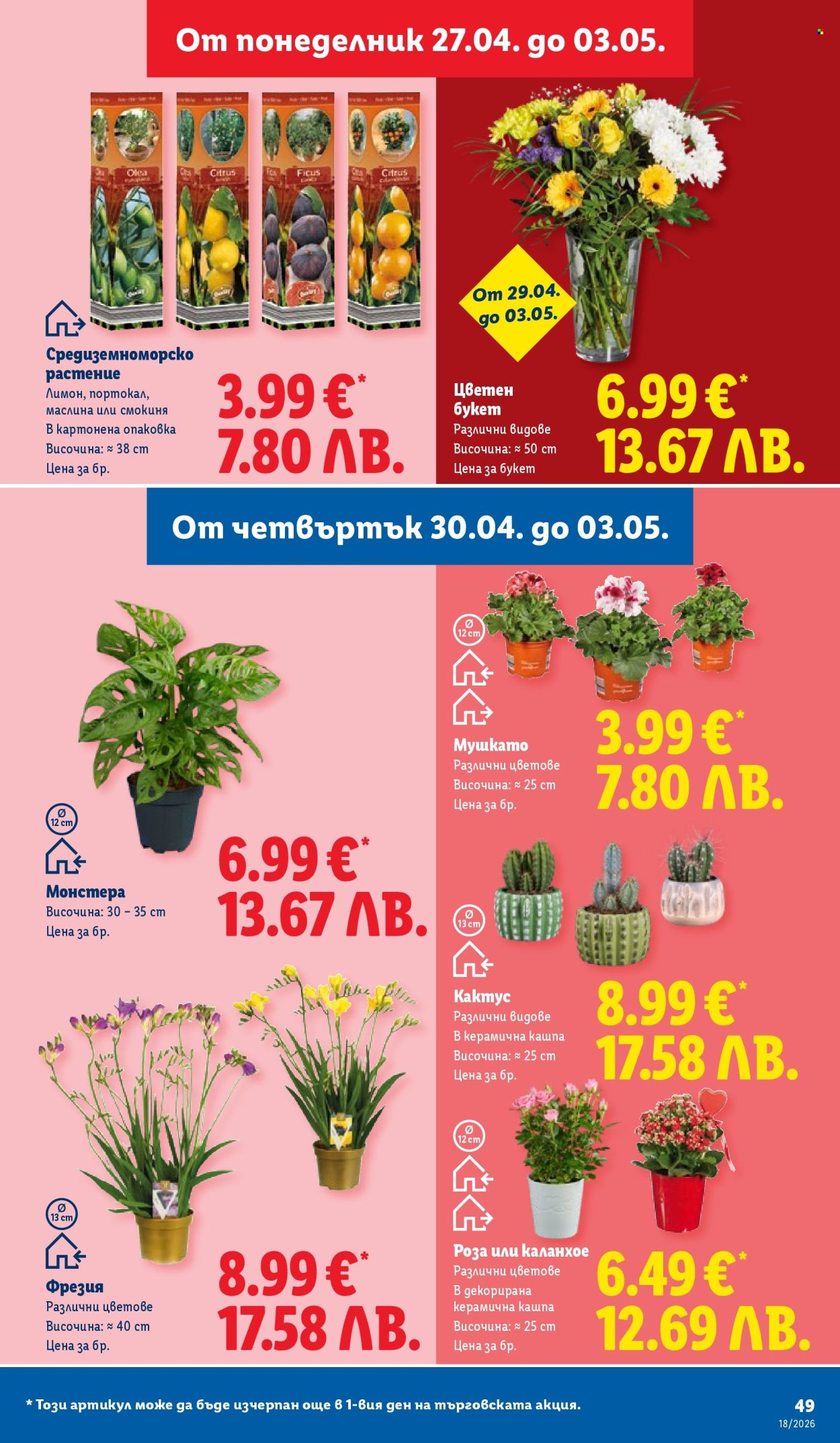 Брошура на Лидл - 27.04.2026 - 03.05.2026. Страница 49