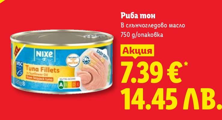 Риба тон