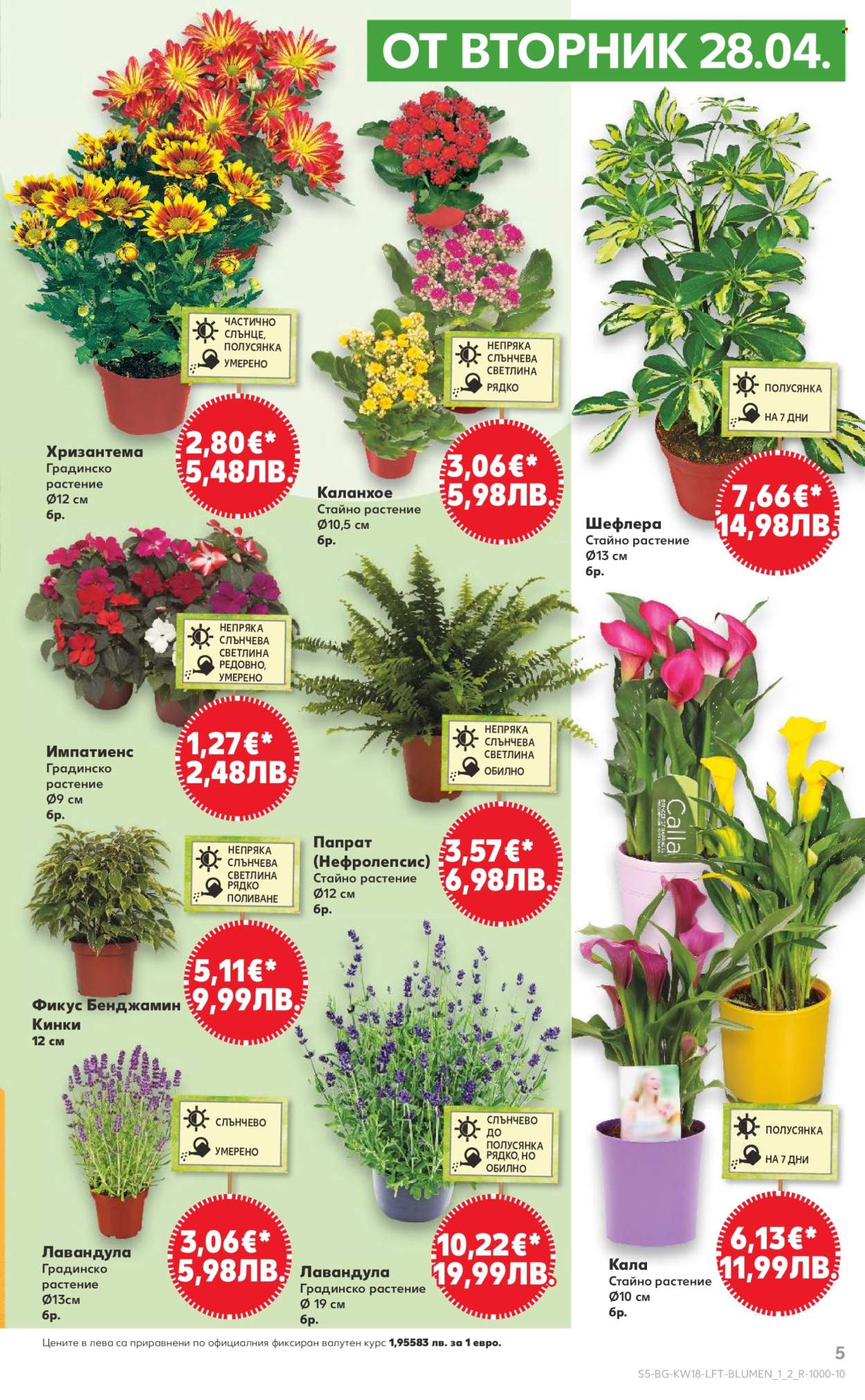 Брошура на Кауфланд - 27.04.2026 - 03.05.2026. Страница 5