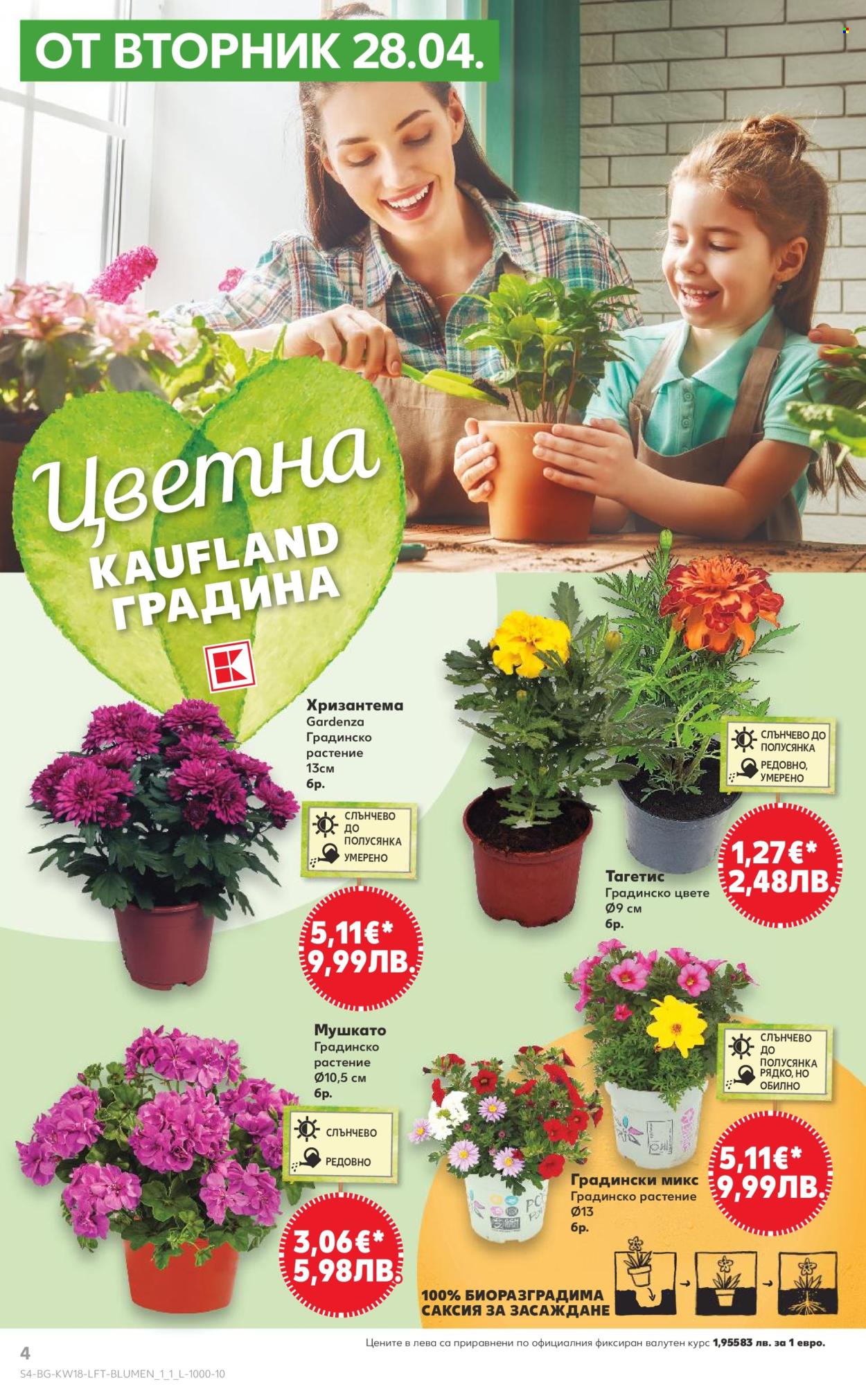 Брошура на Кауфланд - 27.04.2026 - 03.05.2026. Страница 4