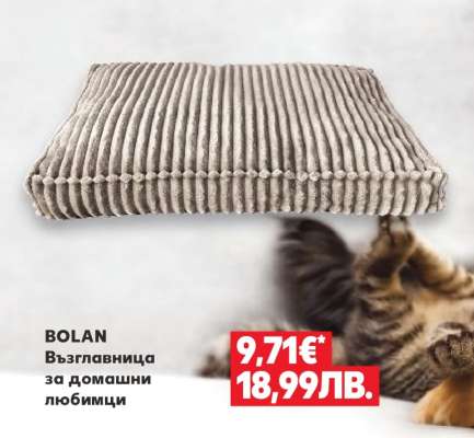 BOLAN