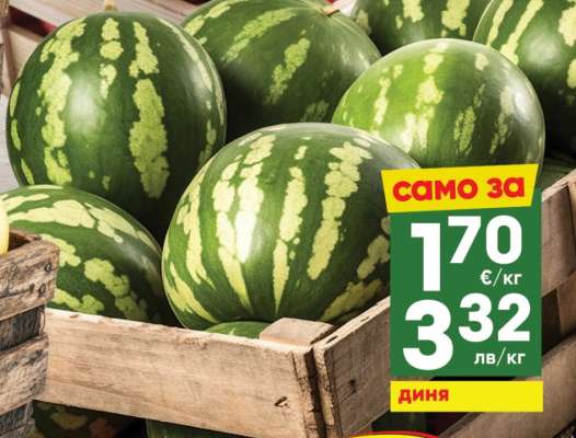 Диня