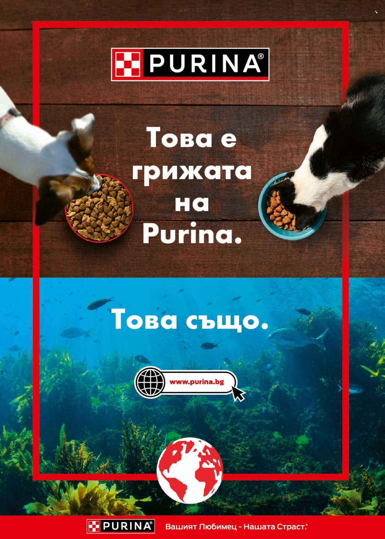 Брошура на BILLA - 30.04.2026 - 06.05.2026. Страница 48