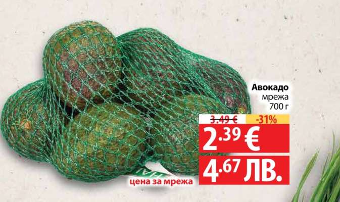 Авокадо