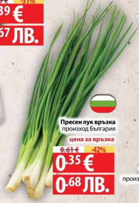 Пресен лук връзка