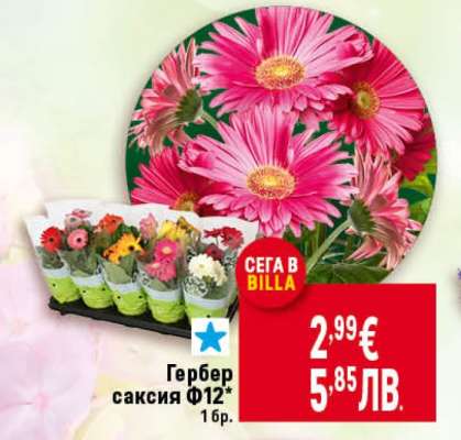 Гербер саксия Ф12