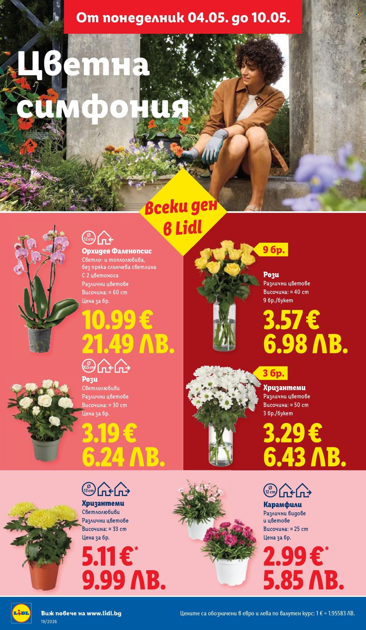 Брошура на Лидл - 04.05.2026 - 10.05.2026. Страница 50