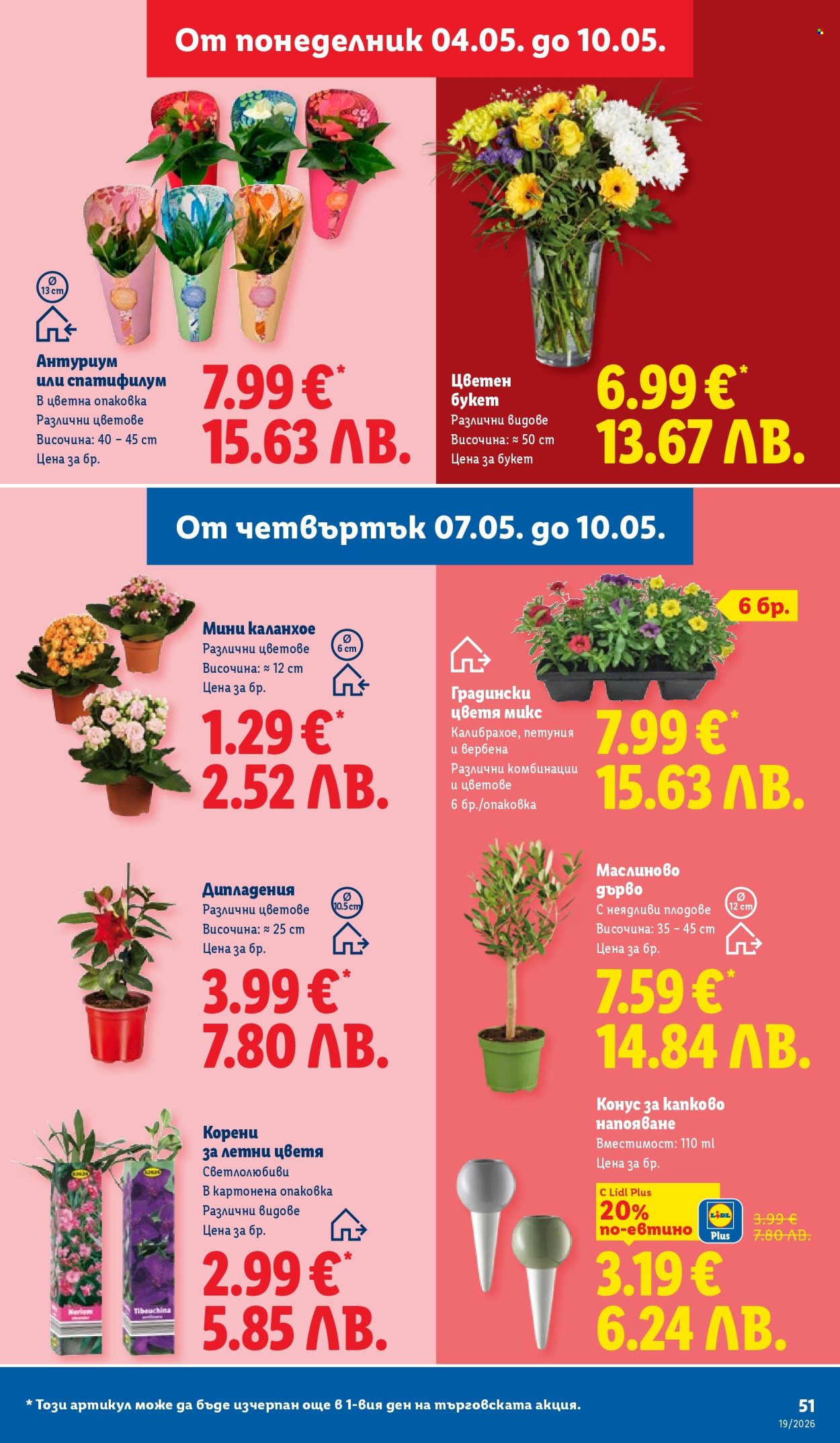 Брошура на Лидл - 04.05.2026 - 10.05.2026. Страница 51