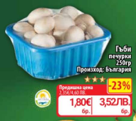 Гъби печурки