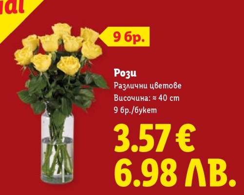 Рози