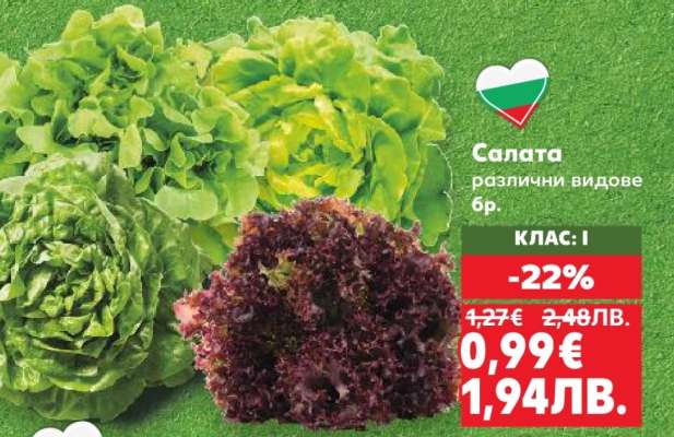 Салата