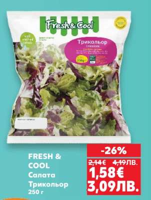 FRESH & COOL