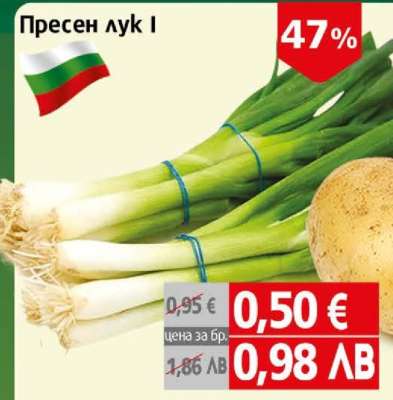 Пресен лук I