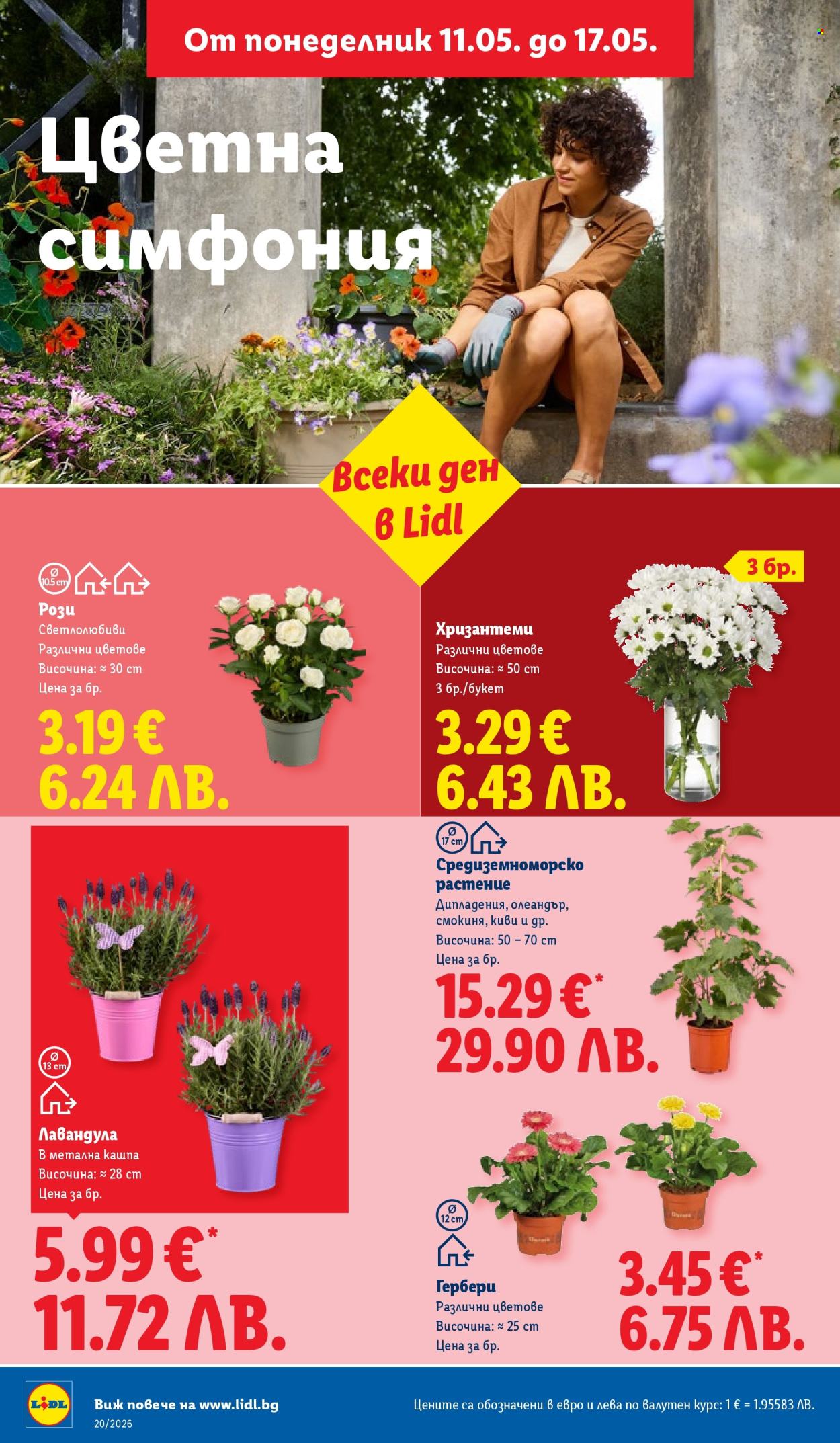 Брошура на Лидл - 11.05.2026 - 17.05.2026. Страница 46
