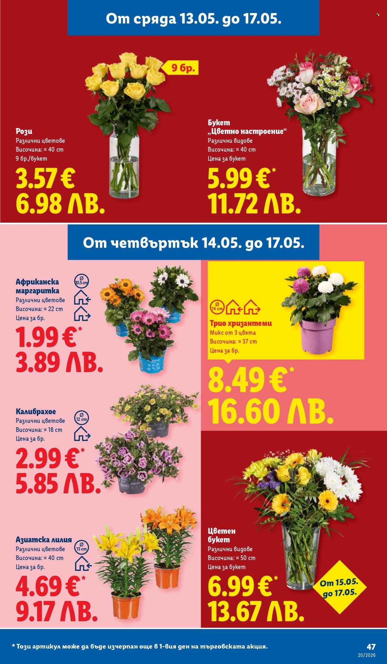 Брошура на Лидл - 11.05.2026 - 17.05.2026. Страница 47