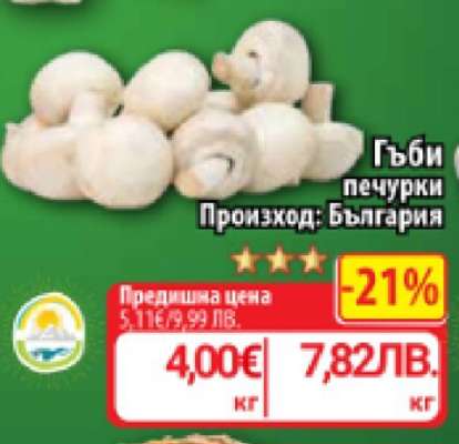 Гъби печурки
