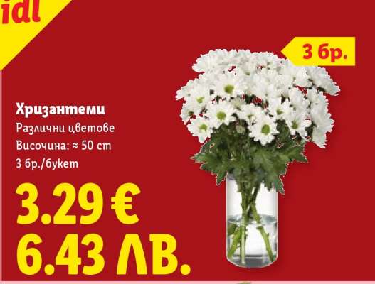 Хризантеми