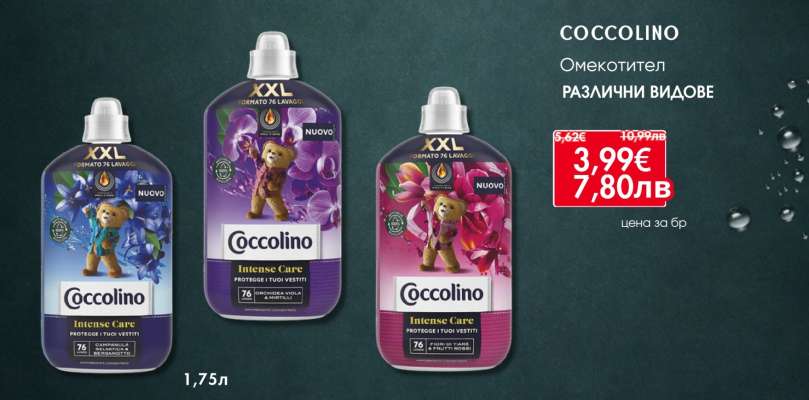 COCCOLINO