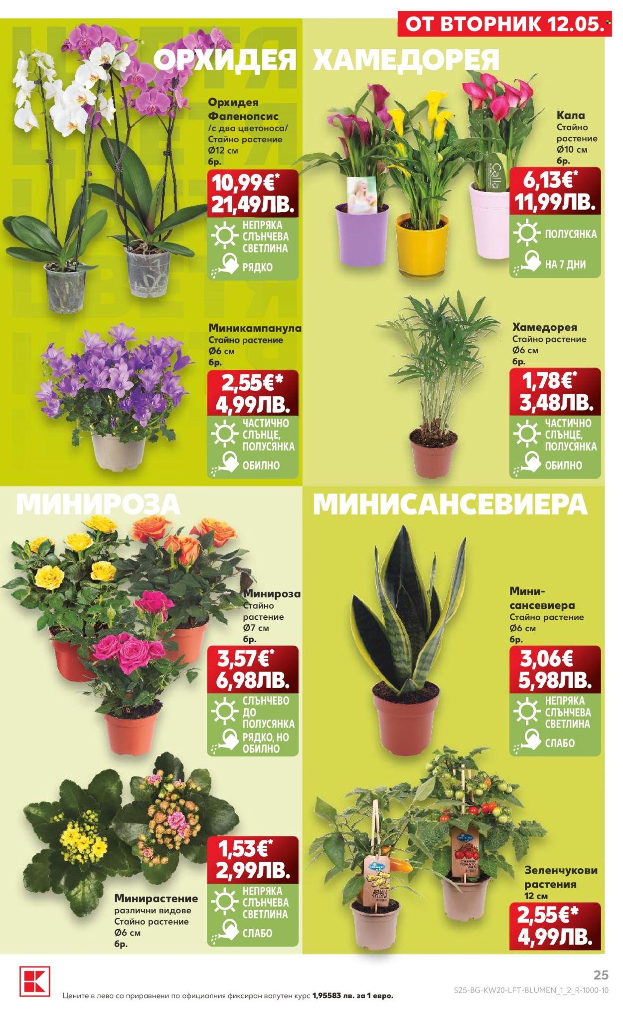 Брошура на Кауфланд - 11.05.2026 - 17.05.2026. Страница 25