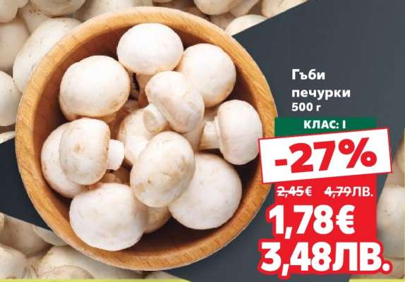 Гъби печурки