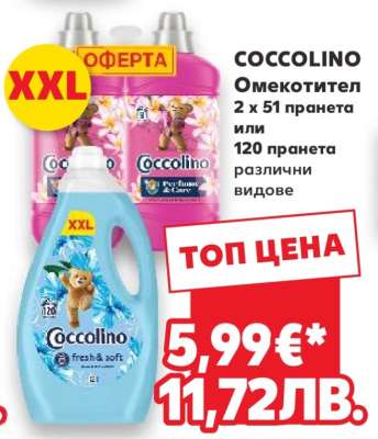 COCCOLINO