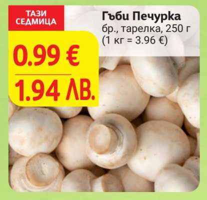 Гъби печурка