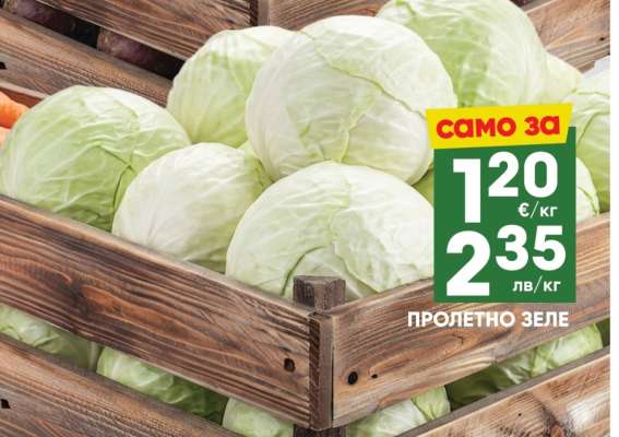 ПРОЛЕТНО ЗЕЛЕ